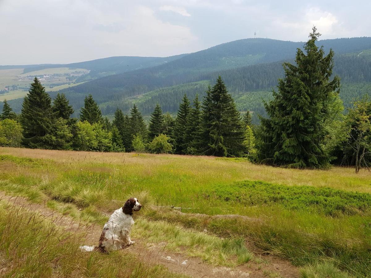 Ferienwohnung Grenzblick Oberwiesenthal Dış mekan fotoğraf